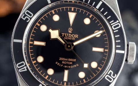 帝舵-絕版Black Bay玫瑰花Logo黑水鬼手表3年行情大幅增長75%