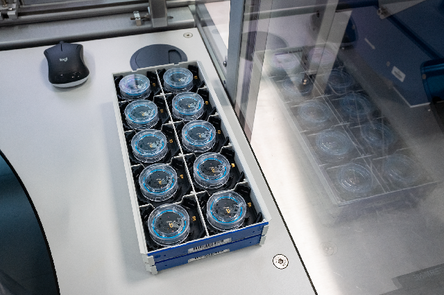 Tudor Master Chronometer 磁性測(cè)試