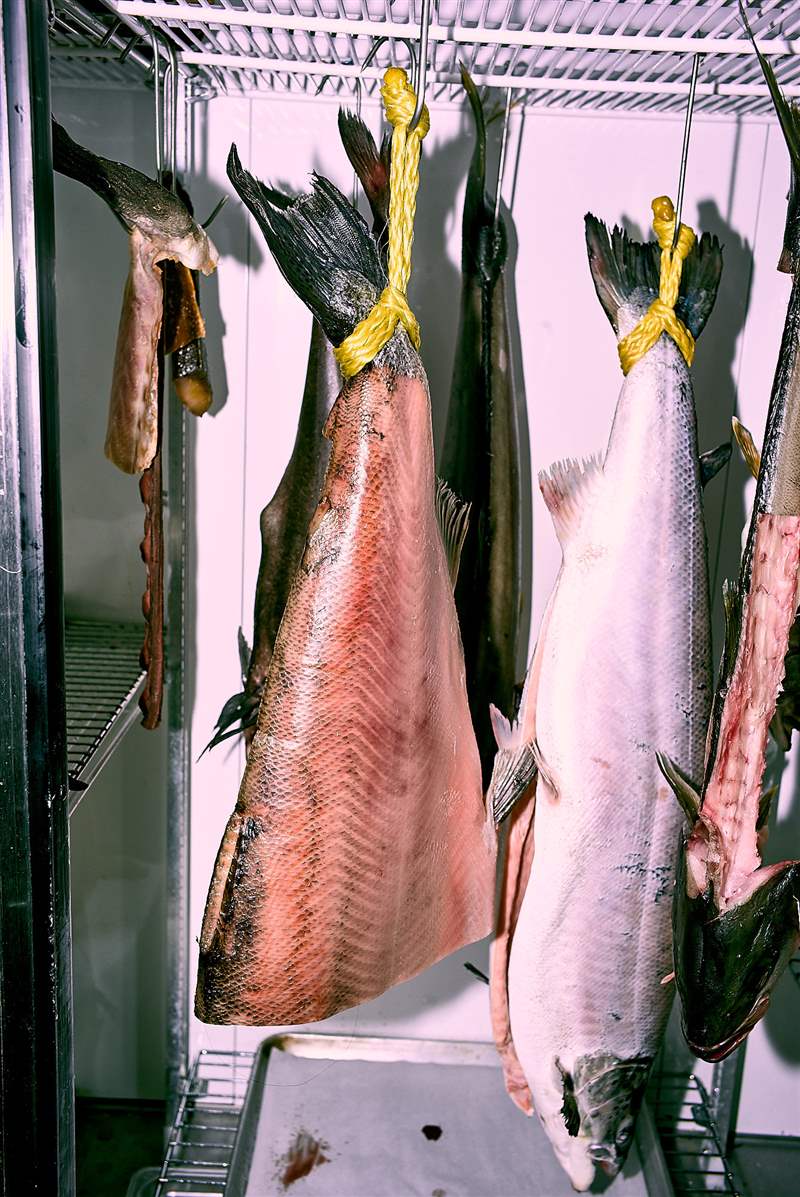 四加一這個魚販的手表系列經得起粘液和膽量