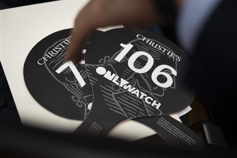 只有帶有 Watch 品牌標志的槳葉位于其兩側。