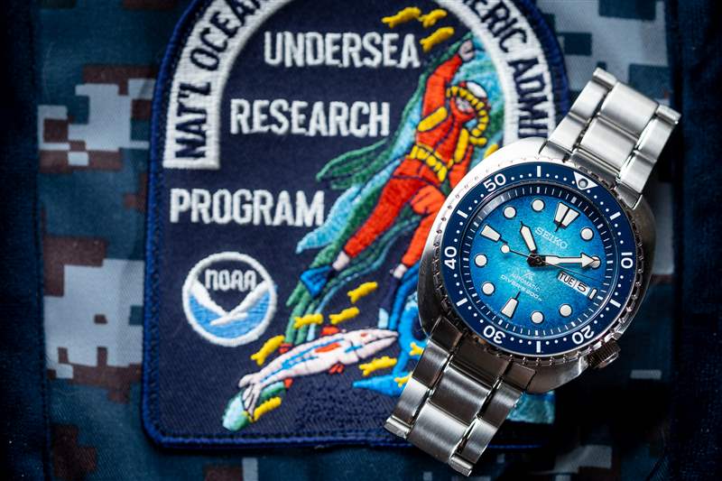 親身體驗(yàn)Seiko Shellebrate The Sea Turtle的三款全新海龜潛水表