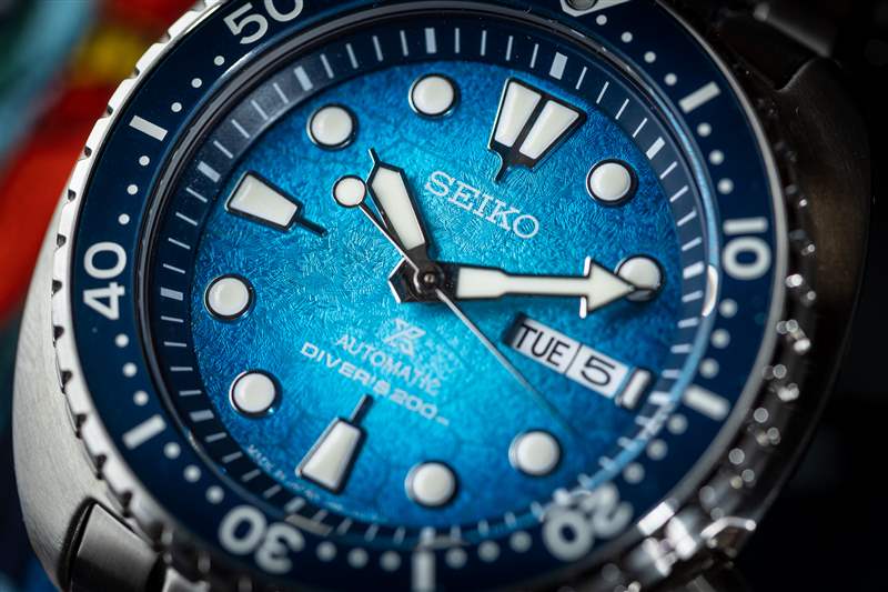親身體驗(yàn)Seiko Shellebrate The Sea Turtle的三款全新海龜潛水表